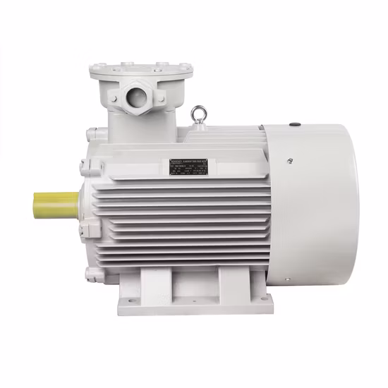 Explosionsgeschützter, druckfester, asynchroner, synchroner, elektrischer Wechselstrom-Gleichstrom-Induktionselektromotor